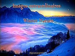diaporama pps Images extraordinaires – Winter nature