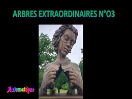 diaporama pps Arbres extraordinaires N°03