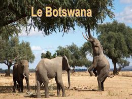 diaporama pps Botswana