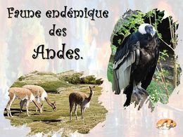 diaporama pps Faune endémique des Andes