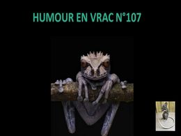diaporama pps Humour en vrac N°107