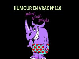 diaporama pps Humour en vrac N°110