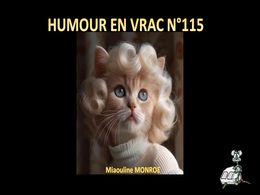 diaporama pps Humour en vrac N°115