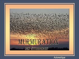 diaporama pps Murmuration ou ballet des étourneaux