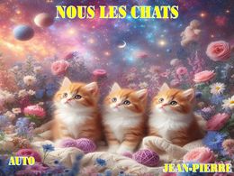 diaporama pps Nous les chats