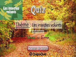 diaporama pps Quiz les insectes volants