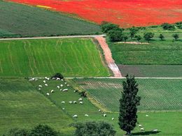 diaporama pps Frantz parcourt l’Alsace avec un drone 8