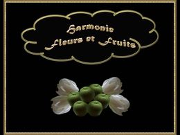 diaporama pps Harmonie fleurs et fruits